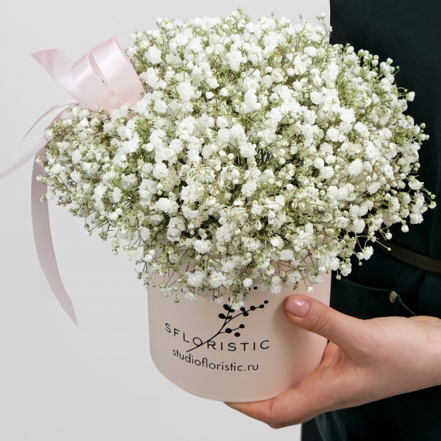 Композиция из Гипсофилы 5 шт «Белинда» Композиция из Гипсофилы 5 шт «Белинда»