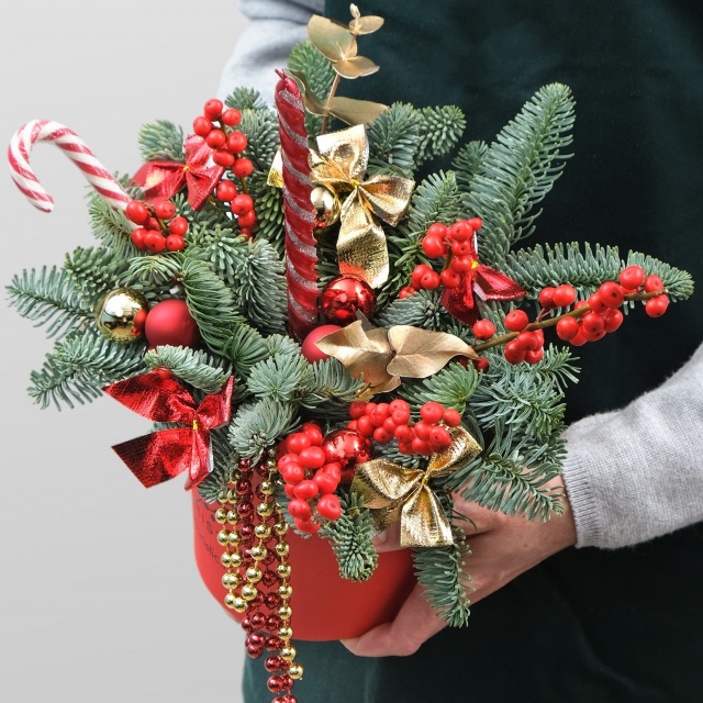 Композиция из Нобилиса, Илекса «Красная Зимушка» Композиция из Нобилиса, Илекса «Красная Зимушка»