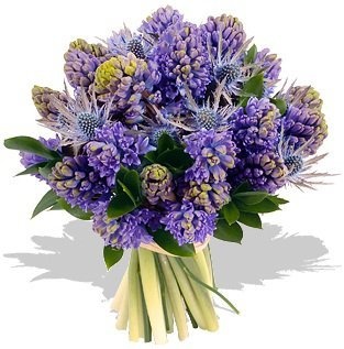 Букет из Гиацинтов и Чертополоха «Императорский сад» Букет из Гиацинтов и Чертополоха «Императорский сад»