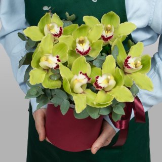 Композиция из Орхидей в шляпной коробке «Зеленый шелк» Композиция из Орхидей в шляпной коробке «Зеленый шелк»