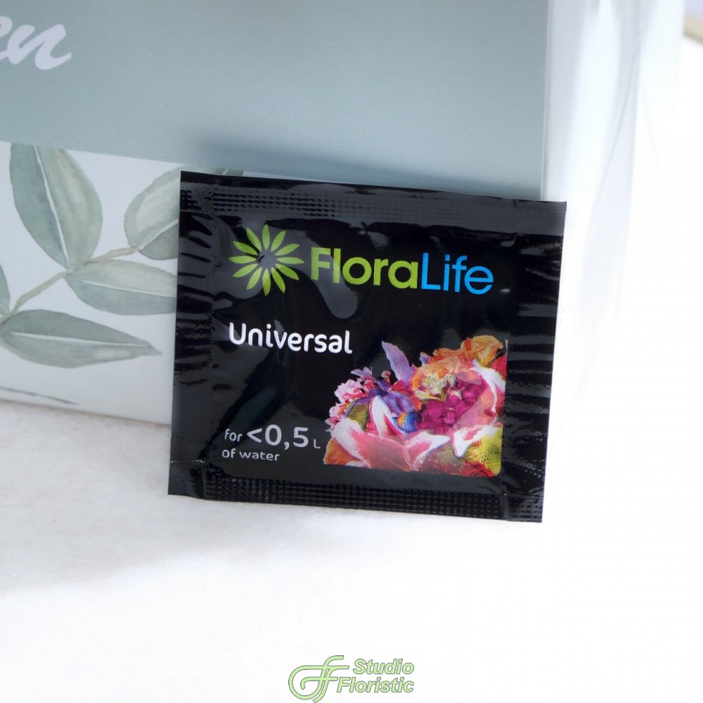 Композиция из пионовидных Роз Эквадор в шляпной коробке «В цвете чувств» Композиция из пионовидных Роз Эквадор в шляпной коробке «В цвете чувств»