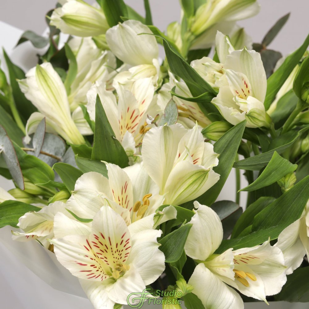 Букет из Альстромерий «Хрустальная Мелодия» Букет из Альстромерий «Хрустальная Мелодия»