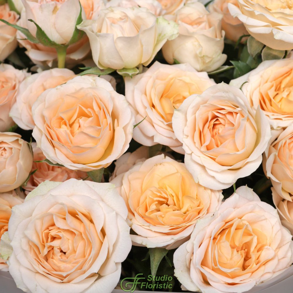 Букет из Кустовых Роз «Письмо весне» Букет из Кустовых Роз «Письмо весне»