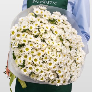 Букет Хризантем Сантини «Нежный день» Букет Хризантем Сантини «Нежный день»