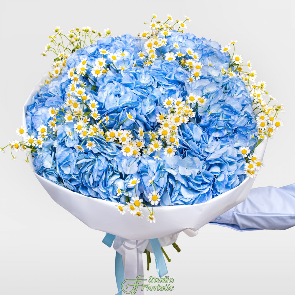 Букет из Гортензий и Ромашек «Улыбка лета» Букет из Гортензий и Ромашек «Улыбка лета»