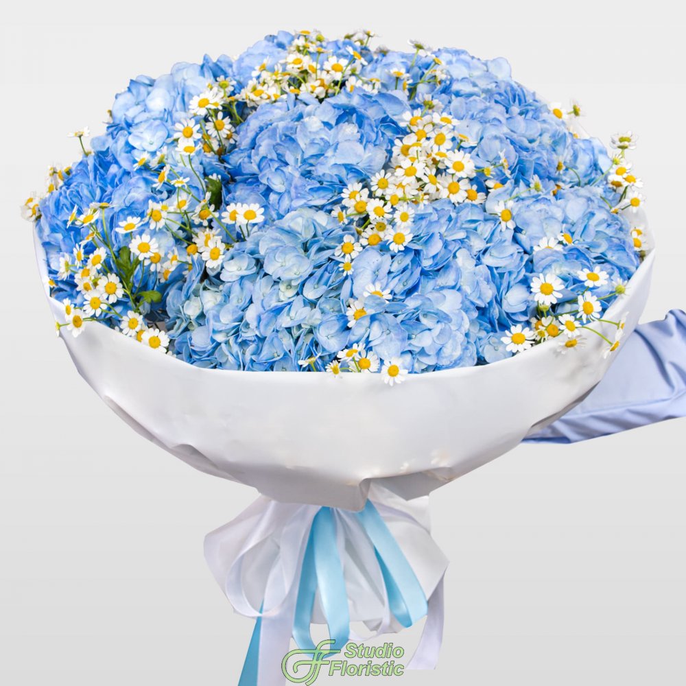 Букет из Гортензий и Ромашек «Небо в ромашках» Букет из Гортензий и Ромашек «Небо в ромашках»