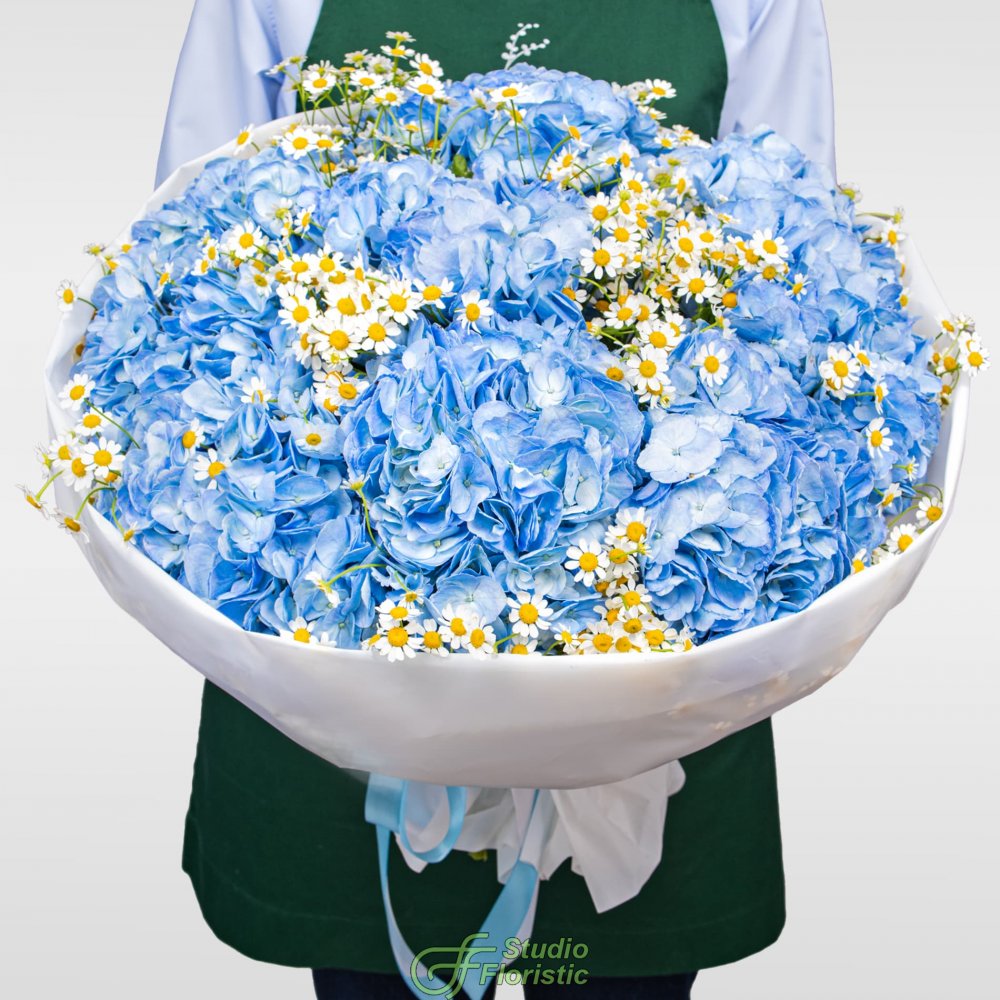 Букет из Гортензий и Ромашек «Небо в ромашках» Букет из Гортензий и Ромашек «Небо в ромашках»