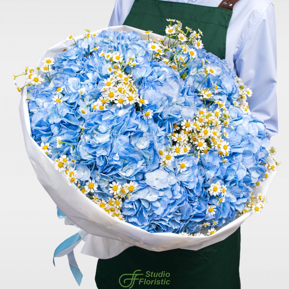Букет из Гортензий и Ромашек «Небо в ромашках» Букет из Гортензий и Ромашек «Небо в ромашках»