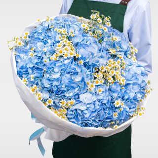 Букет из Гортензий и Ромашек «Небо в ромашках» Букет из Гортензий и Ромашек «Небо в ромашках»