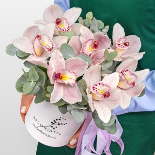 Композиция из Орхидей в шляпной коробке «Пленительная нежность» Композиция из Орхидей в шляпной коробке «Пленительная нежность»