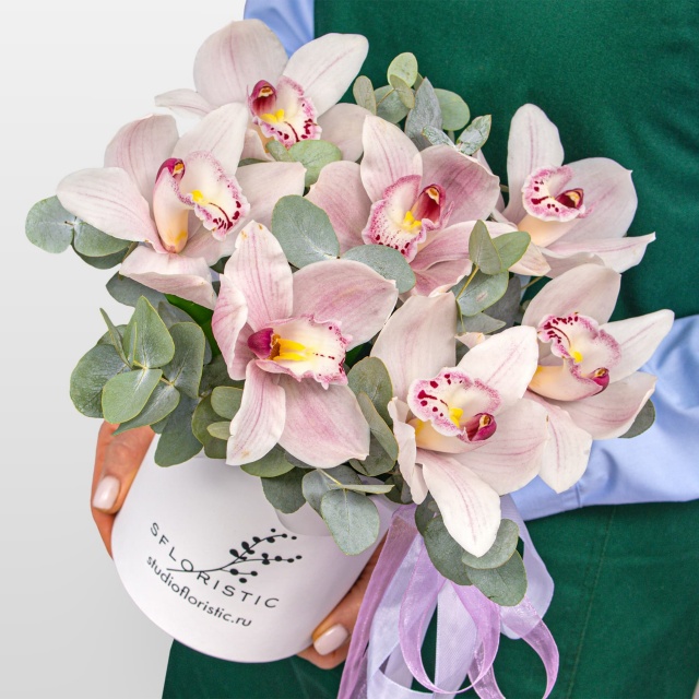 Композиция из Орхидей в шляпной коробке «Пленительная нежность» Композиция из Орхидей в шляпной коробке «Пленительная нежность»