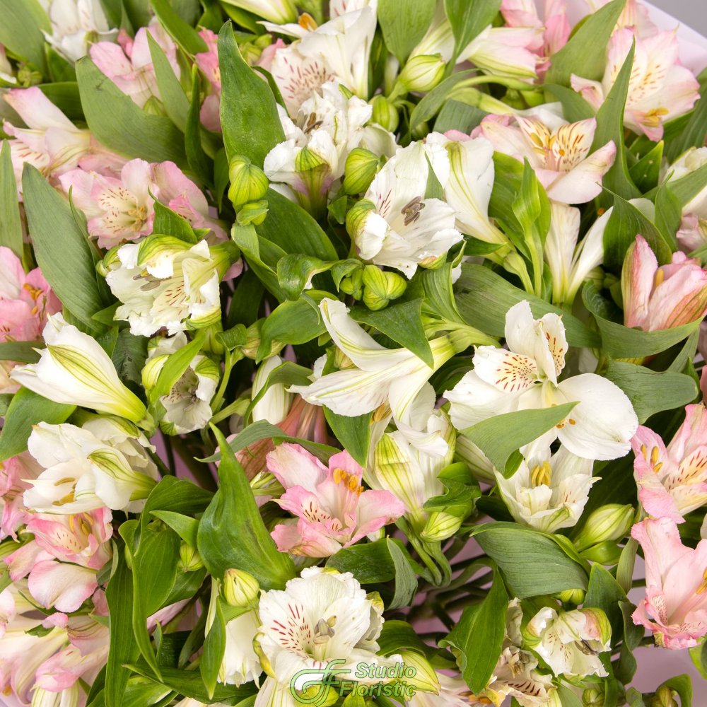 Букет Альстромерий «Крылья рассвета» Букет Альстромерий «Крылья рассвета»