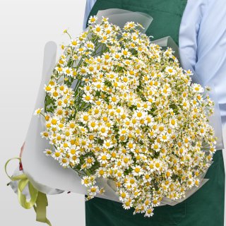 Букет Ромашек «Летняя Нежность» Букет Ромашек «Летняя Нежность»