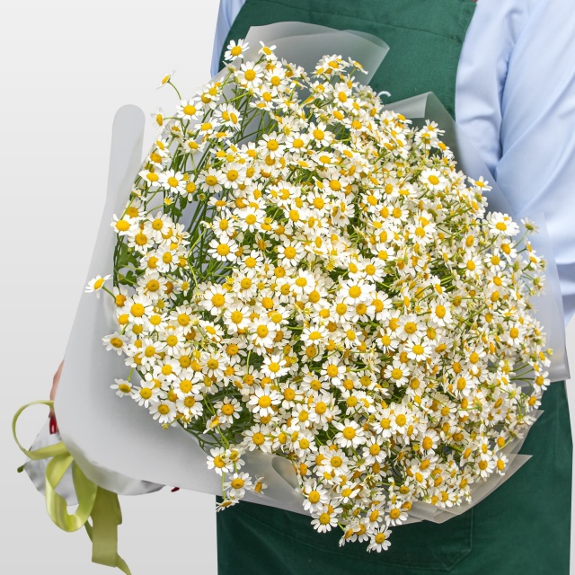 Букет Ромашек «Летняя Нежность» Букет Ромашек «Летняя Нежность»