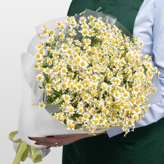 Букет Ромашек «Тепло лета» Букет Ромашек «Тепло лета»
