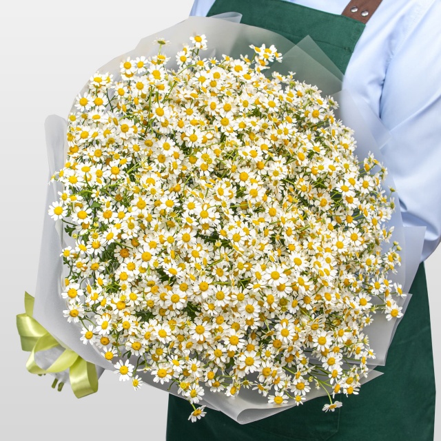 Букет Ромашек «Душа поля» Букет Ромашек «Душа поля»