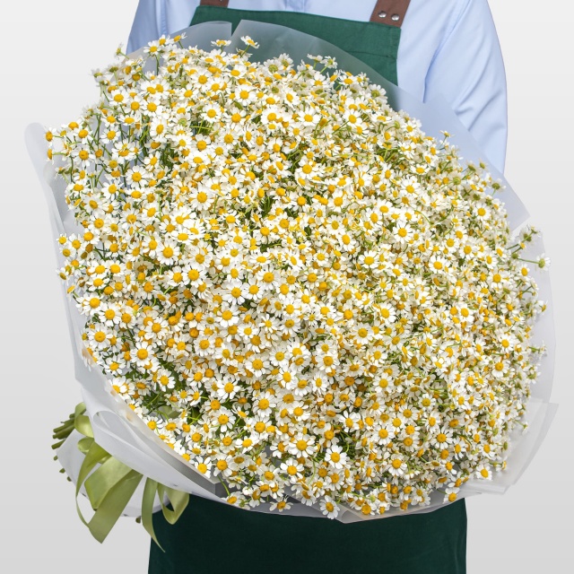 Букет Ромашек «Солнечная поляна» Букет Ромашек «Солнечная поляна»