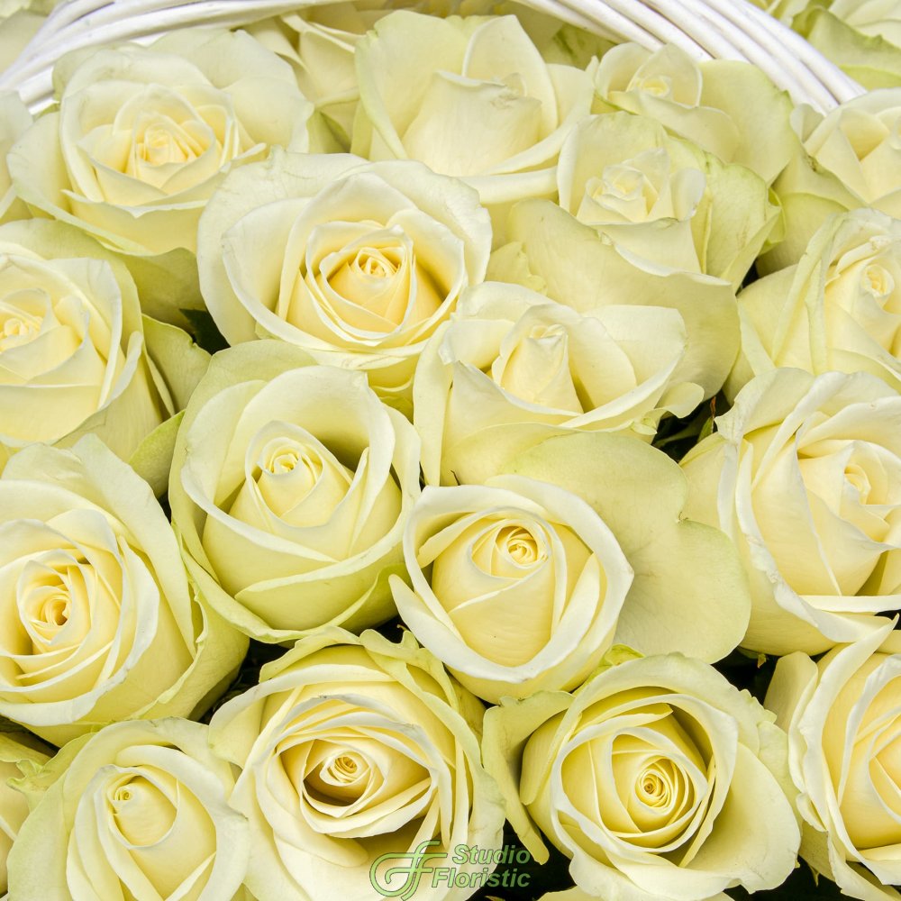 Композиция из Роз Кения 60 см в корзине «Молочная Ваниль» Композиция из Роз Кения 60 см в корзине «Молочная Ваниль»