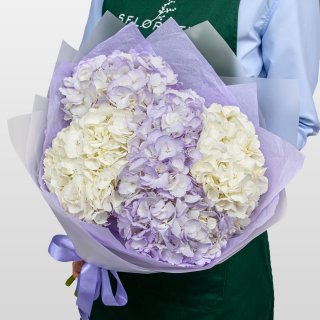 Букет из Гортензий «Сиреневая Нежность» Букет из Гортензий «Сиреневая Нежность»