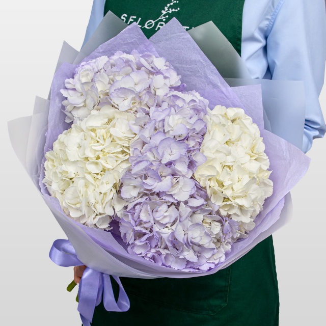 Букет из Гортензий «Сиреневая Нежность» Букет из Гортензий «Сиреневая Нежность»