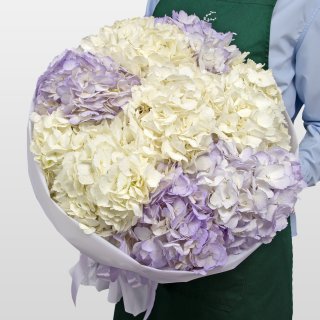 Букет из Гортензий «Сиреневая Мечта» Букет из Гортензий «Сиреневая Мечта»