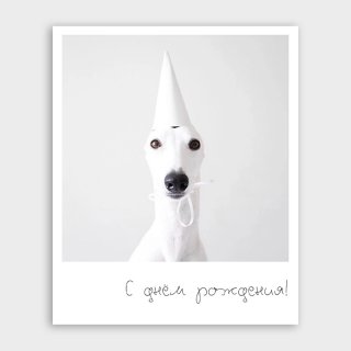 Открытка-фотокарточка с собачкой «С днём рождения!» Открытка-фотокарточка с собачкой «С днём рождения!»