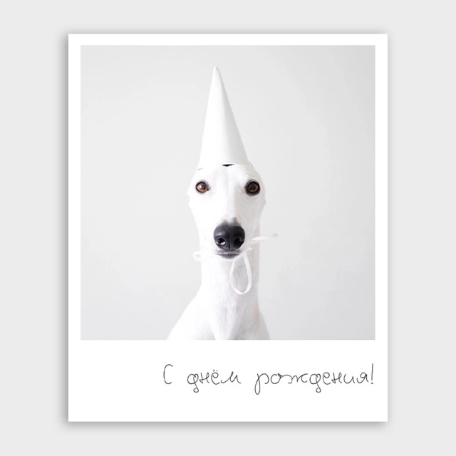 Открытка-фотокарточка с собачкой «С днём рождения!» Открытка-фотокарточка с собачкой «С днём рождения!»