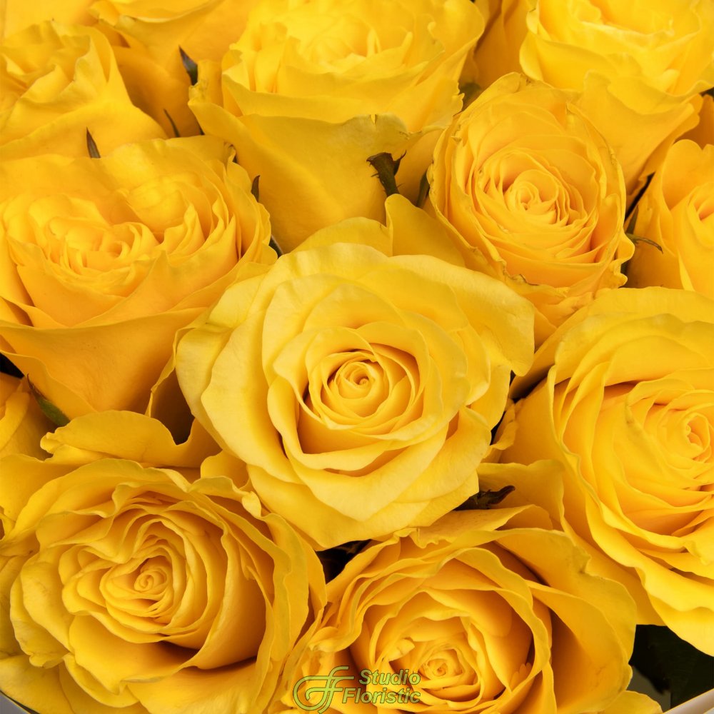 Букет желтых Роз Кения 40 см 31 шт «Солнечный Поцелуй» Букет желтых Роз Кения 40 см 31 шт «Солнечный Поцелуй»