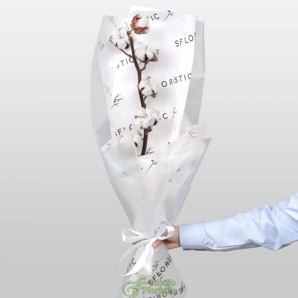 Букет из ветки Хлопка «Мягкое Прикосновение» Букет из ветки Хлопка «Мягкое Прикосновение»