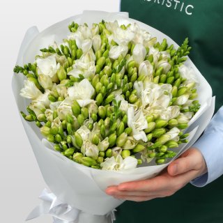 Букет из Белых Фрезий 51 шт «Ванильные сны» Букет из Белых Фрезий 51 шт «Ванильные сны»