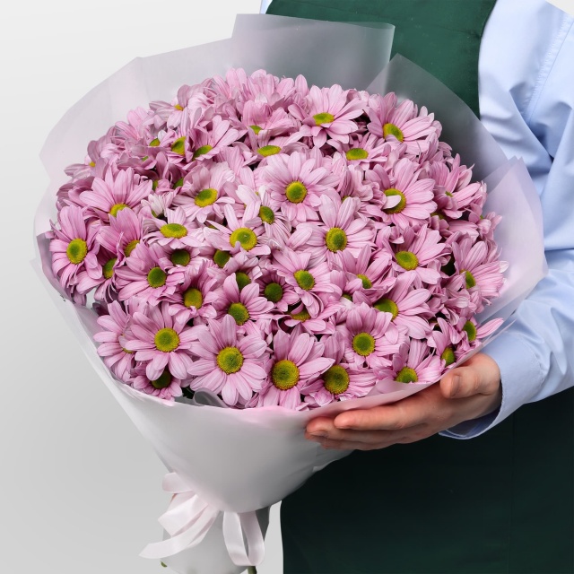 Букет из Розовых Кустовых Хризантем 15 шт «Розовое пралине» Букет из Розовых Кустовых Хризантем 15 шт «Розовое пралине»
