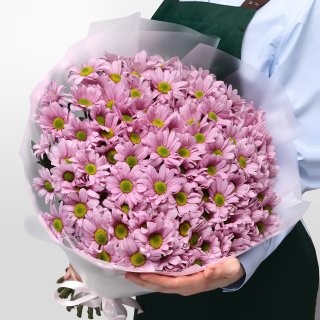 Букет из Розовых Кустовых Хризантем 25 шт «Балет» Букет из Розовых Кустовых Хризантем 25 шт «Балет»