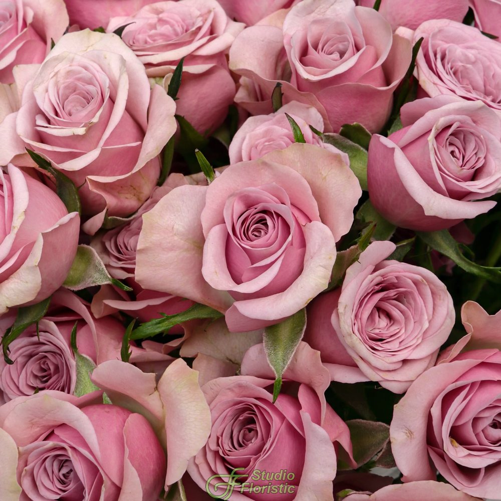 Букет из Сиреневой Кустовой Розы 40 см 15 шт «Парижское утро» Букет из Сиреневой Кустовой Розы 40 см 15 шт «Парижское утро»