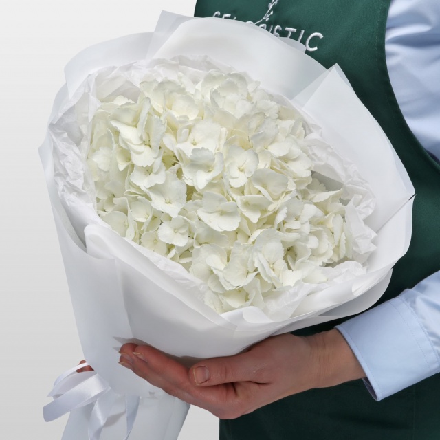 Букет из Гортензии «Белая гортензия» Букет из Гортензии «Белая гортензия»