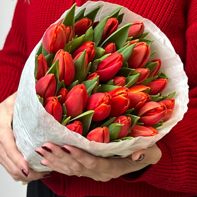 Пачка гладких тюльпанов Пачка гладких тюльпанов