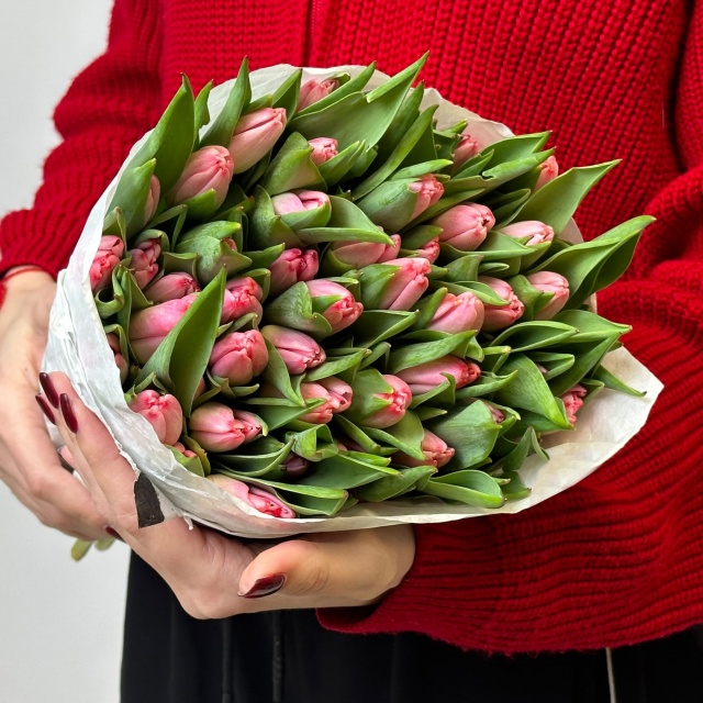 Пачка розовых тюльпанов Пачка розовых тюльпанов