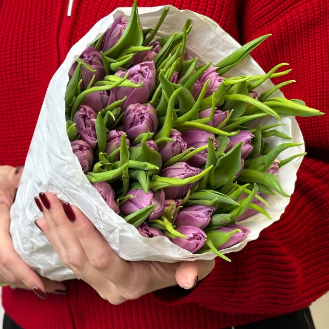 Пачка фиолетовых пионовидных тюльпанов Пачка фиолетовых пионовидных тюльпанов