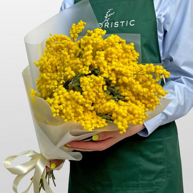 Букет из Мимоз 9 шт «Свидание с весной» Букет из Мимоз 9 шт «Свидание с весной»
