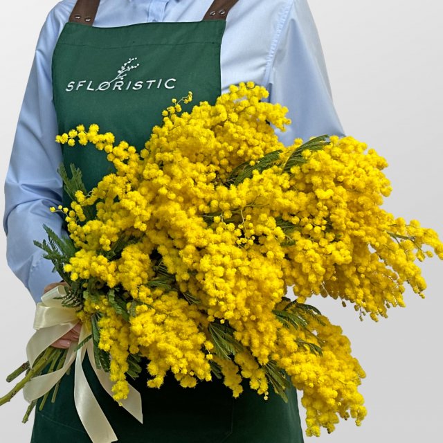 Букет из Мимоз 9 шт «Брызги солнца» Букет из Мимоз 9 шт «Брызги солнца»