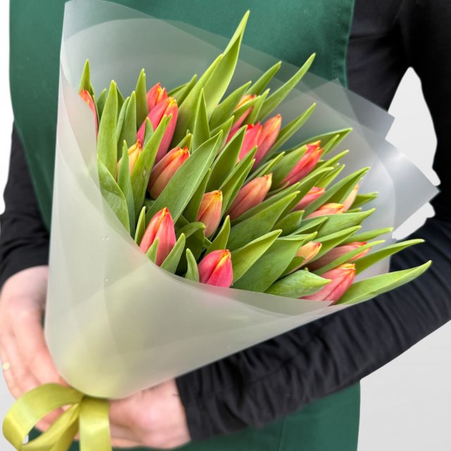Букет из Тюльпанов 25 шт «Первое дыхание» Букет из Тюльпанов 25 шт «Первое дыхание»